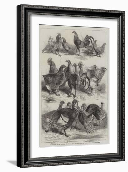 Prize Birds at the Poultry and Pigeon Show Recently Held at Birmingham-Harrison William Weir-Framed Giclee Print