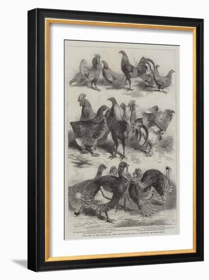 Prize Birds at the Poultry and Pigeon Show Recently Held at Birmingham-Harrison William Weir-Framed Giclee Print