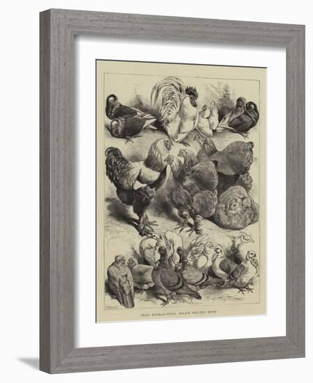 Prize Birds, Crystal Palace Poultry Show-Harrison William Weir-Framed Giclee Print