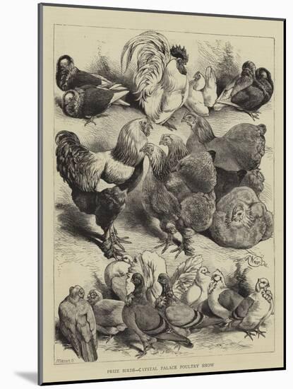 Prize Birds, Crystal Palace Poultry Show-Harrison William Weir-Mounted Giclee Print