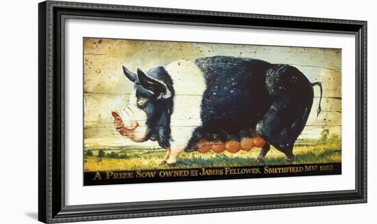 Prize Black Sow-Sean Aherne-Framed Giclee Print