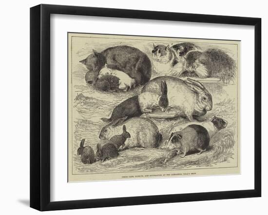 Prize Cats, Rabbits, and Guinea-Pigs, at the Alexandra Palace Show-null-Framed Giclee Print