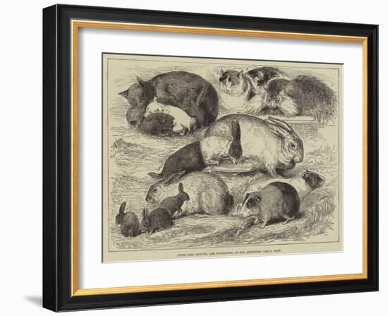 Prize Cats, Rabbits, and Guinea-Pigs, at the Alexandra Palace Show-null-Framed Giclee Print