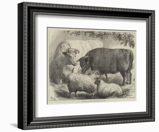 Prize Cattle and Sheep at the Smithfield Club Show-Samuel John Carter-Framed Giclee Print