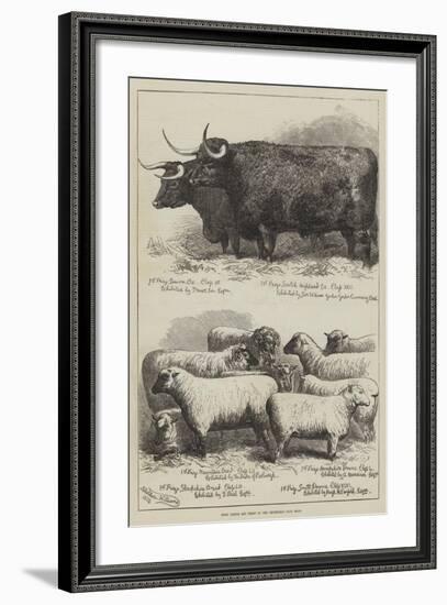 Prize Cattle and Sheep at the Smithfield Club Show-Alfred Sheldon-Williams-Framed Giclee Print