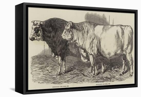 Prize Cattle at the Royal Agricultural Society's Show at Norwich-Harrison William Weir-Framed Premier Image Canvas