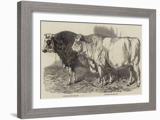 Prize Cattle at the Royal Agricultural Society's Show at Norwich-Harrison William Weir-Framed Giclee Print