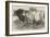 Prize Cattle at the Royal Agricultural Society's Show at Norwich-Harrison William Weir-Framed Giclee Print