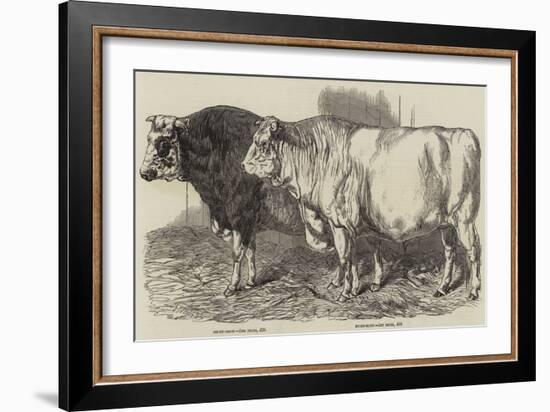 Prize Cattle at the Royal Agricultural Society's Show at Norwich-Harrison William Weir-Framed Giclee Print