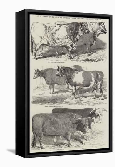 Prize Cattle at the Royal Agricultural Society's Show, at Windsor-Harrison William Weir-Framed Premier Image Canvas