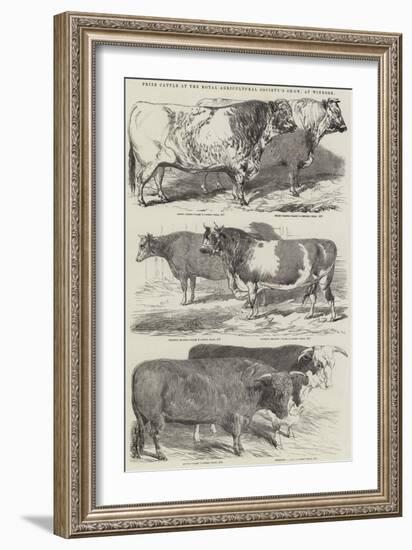 Prize Cattle at the Royal Agricultural Society's Show, at Windsor-Harrison William Weir-Framed Giclee Print