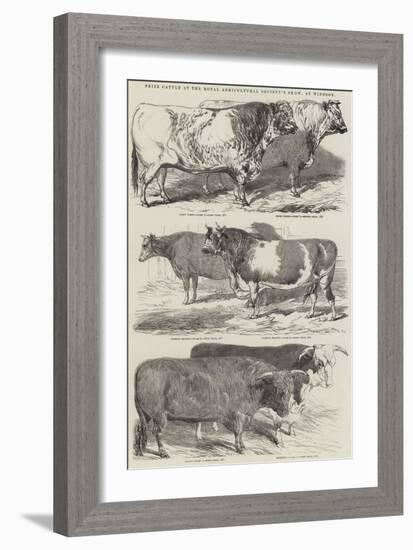 Prize Cattle at the Royal Agricultural Society's Show, at Windsor-Harrison William Weir-Framed Giclee Print
