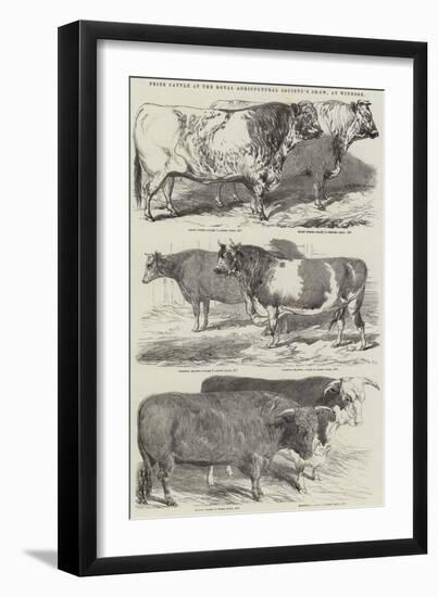 Prize Cattle at the Royal Agricultural Society's Show, at Windsor-Harrison William Weir-Framed Giclee Print