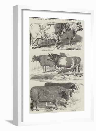 Prize Cattle at the Royal Agricultural Society's Show, at Windsor-Harrison William Weir-Framed Giclee Print