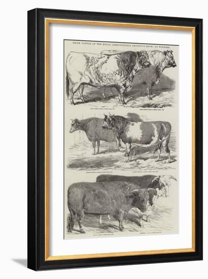 Prize Cattle at the Royal Agricultural Society's Show, at Windsor-Harrison William Weir-Framed Giclee Print