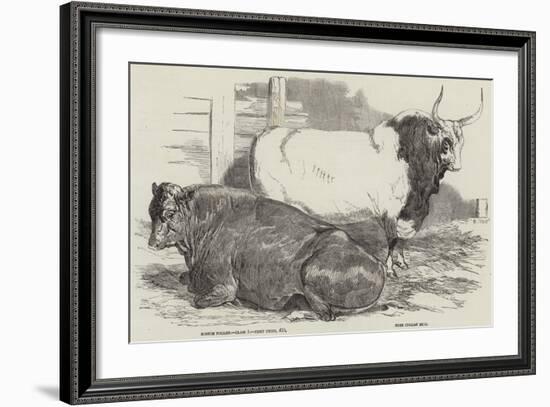 Prize Cattle at the Royal Agricultural Society's Show, at Windsor-Harrison William Weir-Framed Giclee Print