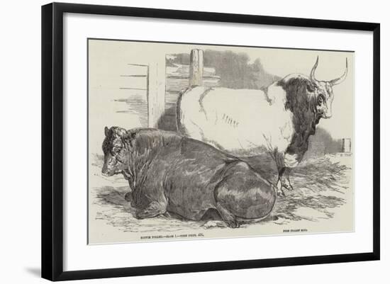 Prize Cattle at the Royal Agricultural Society's Show, at Windsor-Harrison William Weir-Framed Giclee Print