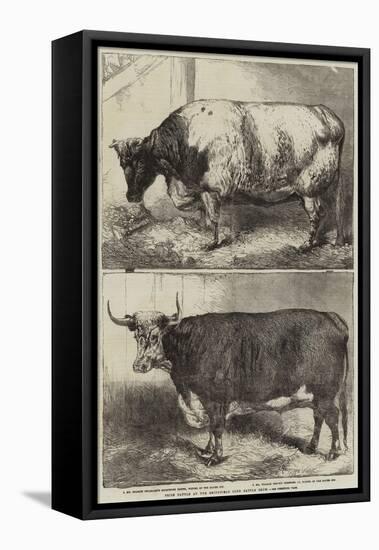Prize Cattle at the Smithfield Club Cattle Show-Harrison William Weir-Framed Premier Image Canvas