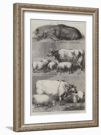 Prize Cattle at the Smithfield Club Cattle Show-Harrison William Weir-Framed Giclee Print