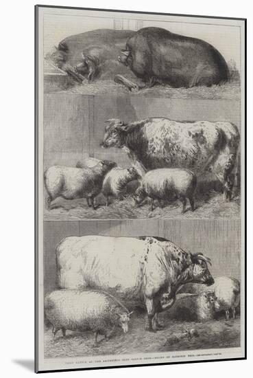 Prize Cattle at the Smithfield Club Cattle Show-Harrison William Weir-Mounted Giclee Print