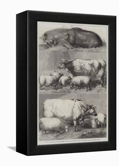 Prize Cattle at the Smithfield Club Cattle Show-Harrison William Weir-Framed Premier Image Canvas