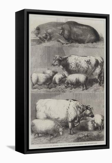 Prize Cattle at the Smithfield Club Cattle Show-Harrison William Weir-Framed Premier Image Canvas