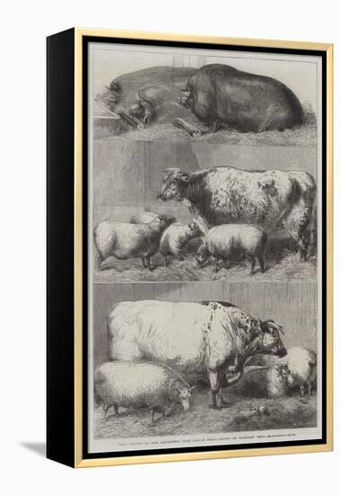 Prize Cattle at the Smithfield Club Cattle Show-Harrison William Weir-Framed Premier Image Canvas