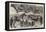 Prize Cattle, Etc, from the Royal Agricultural Show at Warwick-Harrison William Weir-Framed Premier Image Canvas