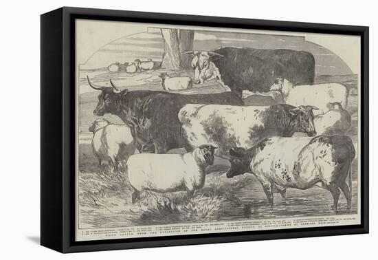 Prize Cattle, from the Exhibition of the Royal Agricultural Society, at Lincoln-Harrison William Weir-Framed Premier Image Canvas