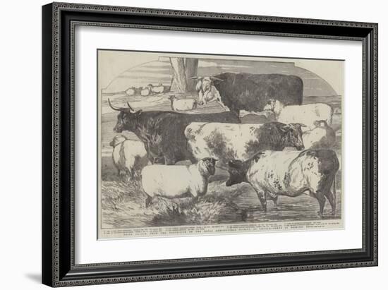 Prize Cattle, from the Exhibition of the Royal Agricultural Society, at Lincoln-Harrison William Weir-Framed Giclee Print