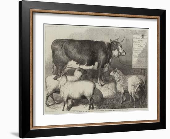 Prize Cow and Sheep at the Bath and West of England Agricultural Show, Southampton-George Bouverie Goddard-Framed Giclee Print