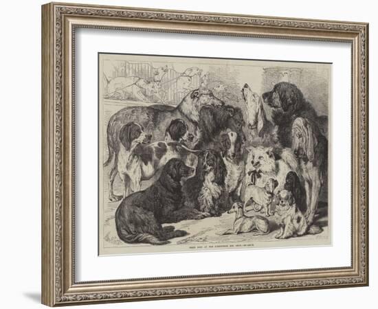 Prize Dogs at the Birmingham Dog Show-Samuel John Carter-Framed Giclee Print