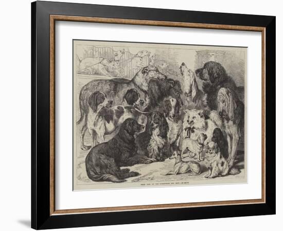 Prize Dogs at the Birmingham Dog Show-Samuel John Carter-Framed Giclee Print