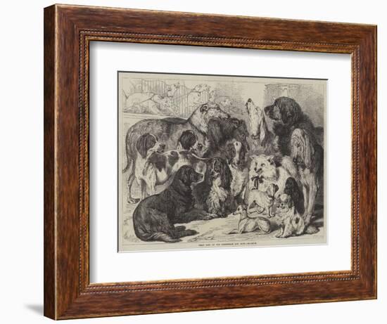 Prize Dogs at the Birmingham Dog Show-Samuel John Carter-Framed Giclee Print