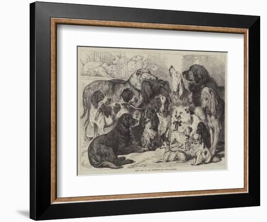 Prize Dogs at the Birmingham Dog Show-Samuel John Carter-Framed Giclee Print