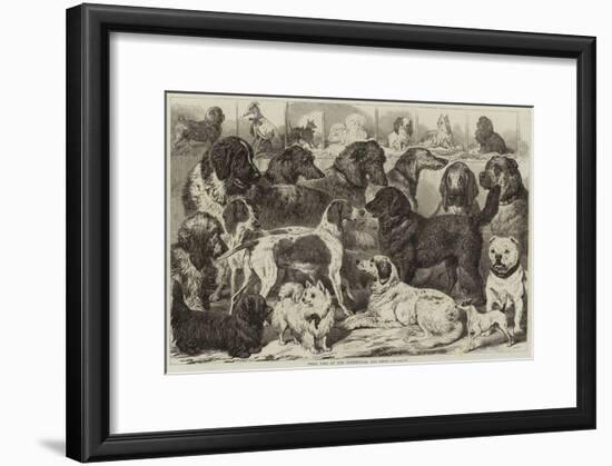 Prize Dogs at the Birmingham Dog Show-null-Framed Giclee Print
