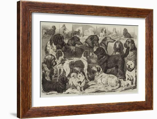 Prize Dogs at the Birmingham Dog Show-null-Framed Giclee Print