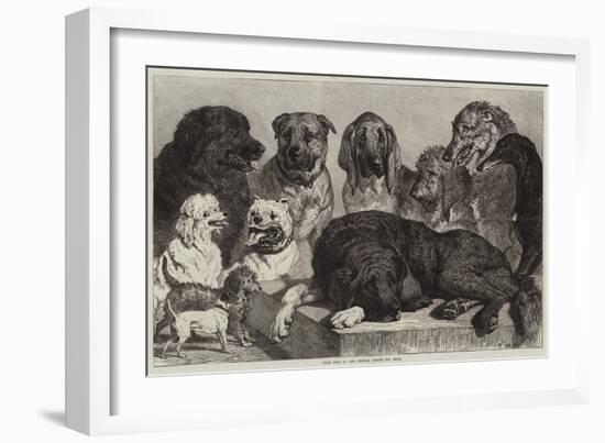 Prize Dogs at the Crystal Palace Dog Show-Samuel John Carter-Framed Giclee Print