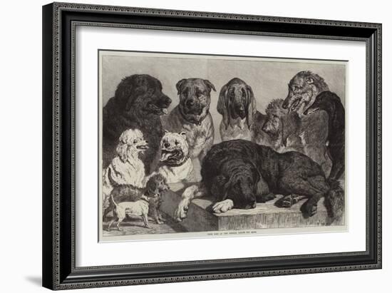 Prize Dogs at the Crystal Palace Dog Show-Samuel John Carter-Framed Giclee Print