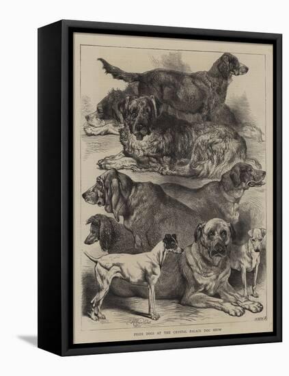 Prize Dogs at the Crystal Palace Dog Show-Harrison William Weir-Framed Premier Image Canvas