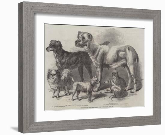 Prize Dogs at the Leeds Show-Harrison William Weir-Framed Giclee Print