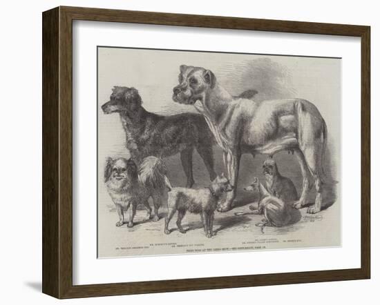 Prize Dogs at the Leeds Show-Harrison William Weir-Framed Giclee Print