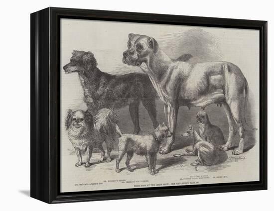 Prize Dogs at the Leeds Show-Harrison William Weir-Framed Premier Image Canvas