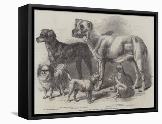 Prize Dogs at the Leeds Show-Harrison William Weir-Framed Premier Image Canvas