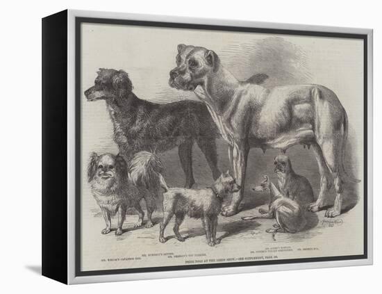 Prize Dogs at the Leeds Show-Harrison William Weir-Framed Premier Image Canvas