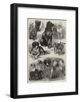 Prize Dogs at the Paris Dog Show-Auguste Andre Lancon-Framed Giclee Print