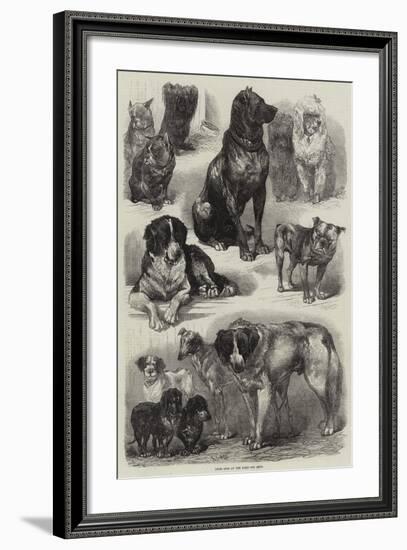 Prize Dogs at the Paris Dog Show-Auguste Andre Lancon-Framed Giclee Print