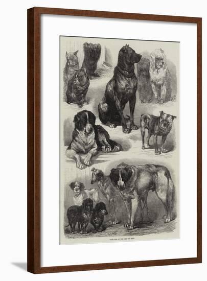 Prize Dogs at the Paris Dog Show-Auguste Andre Lancon-Framed Giclee Print