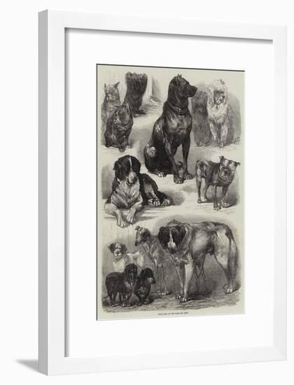Prize Dogs at the Paris Dog Show-Auguste Andre Lancon-Framed Giclee Print