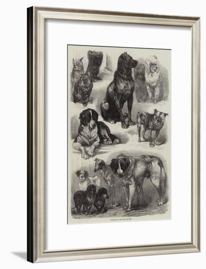 Prize Dogs at the Paris Dog Show-Auguste Andre Lancon-Framed Giclee Print